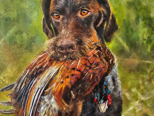Original painting Duitse Staande Langhaar met fazant/ German Longhaired Pointer with pheasant