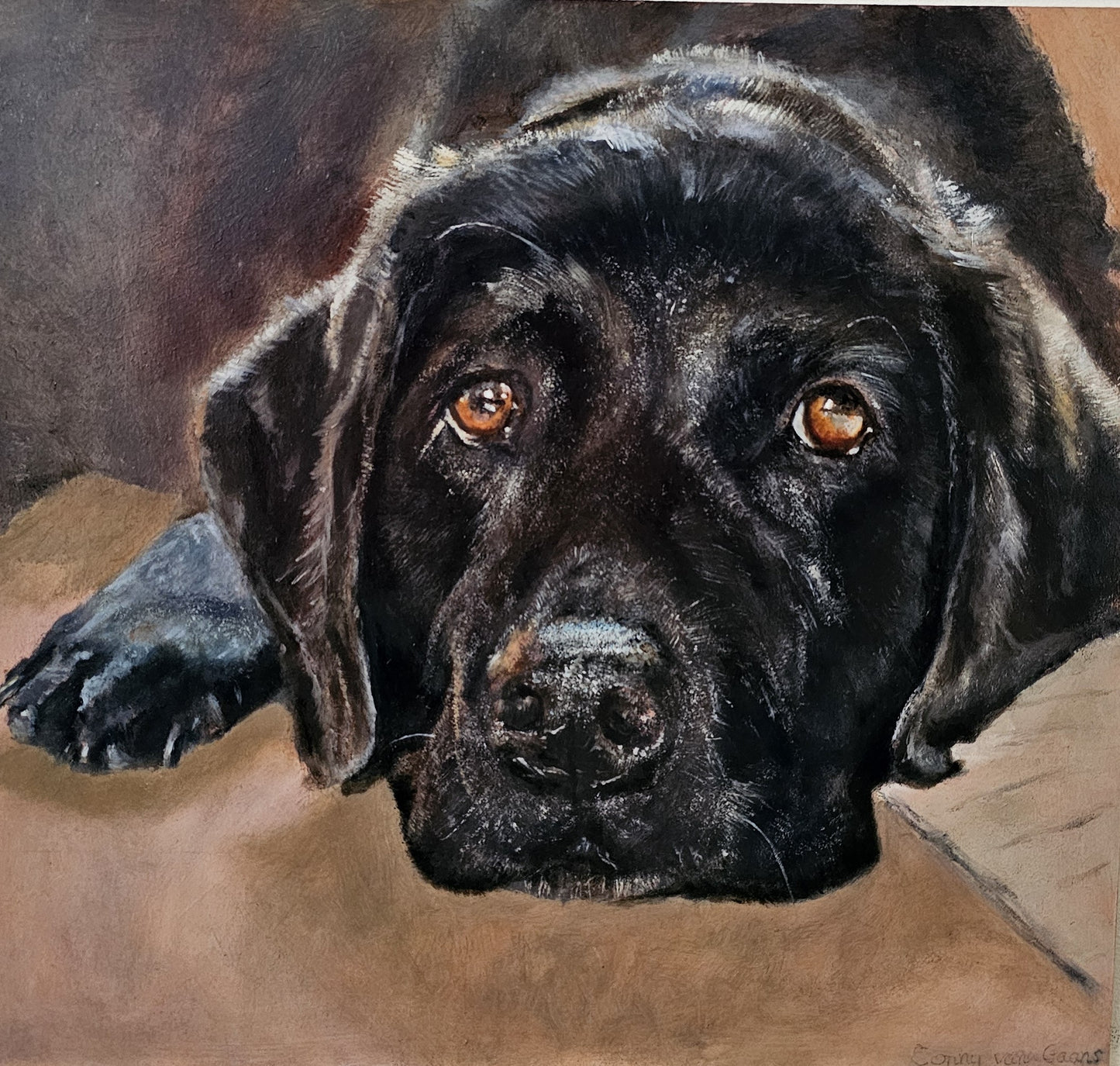 Original painting Black Labrador Rosie just awake