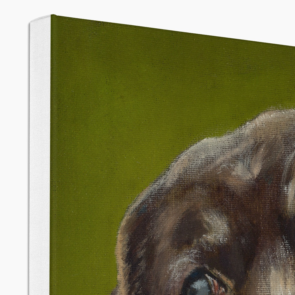 Brown Labrador Retriever Berber Canvas