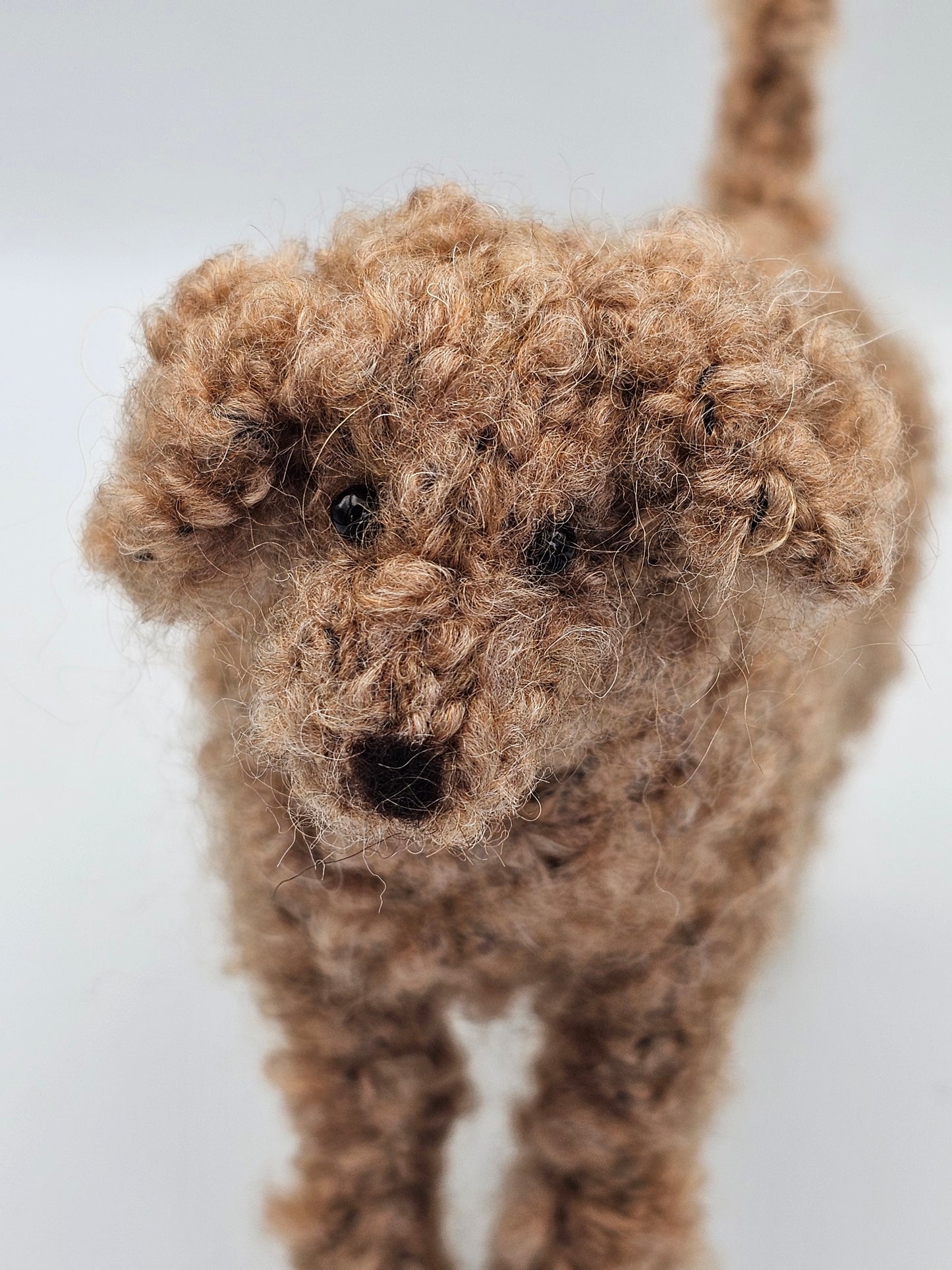 Knitted Apricot light brown Labradoodle in mohair