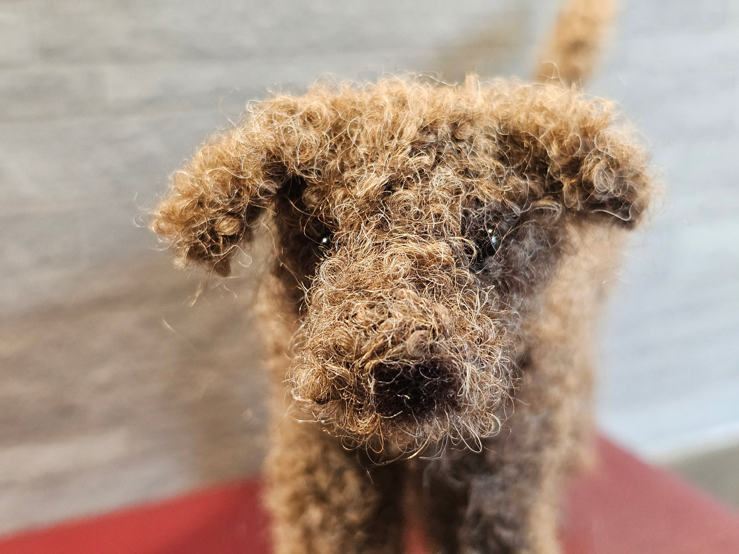 Knitted dark brown Barbet in mohair