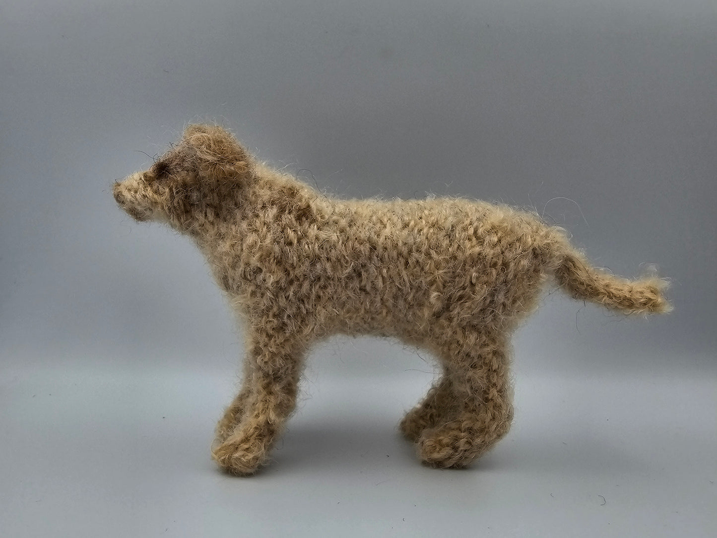 Knitted cream Labradoodle with light brown spots and ears