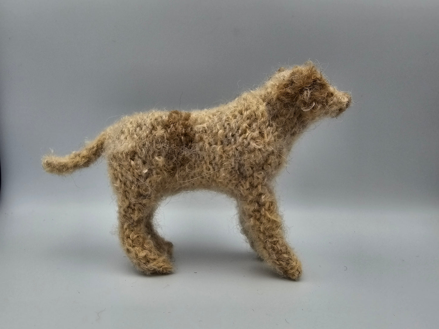 Knitted cream Labradoodle with light brown spots and ears