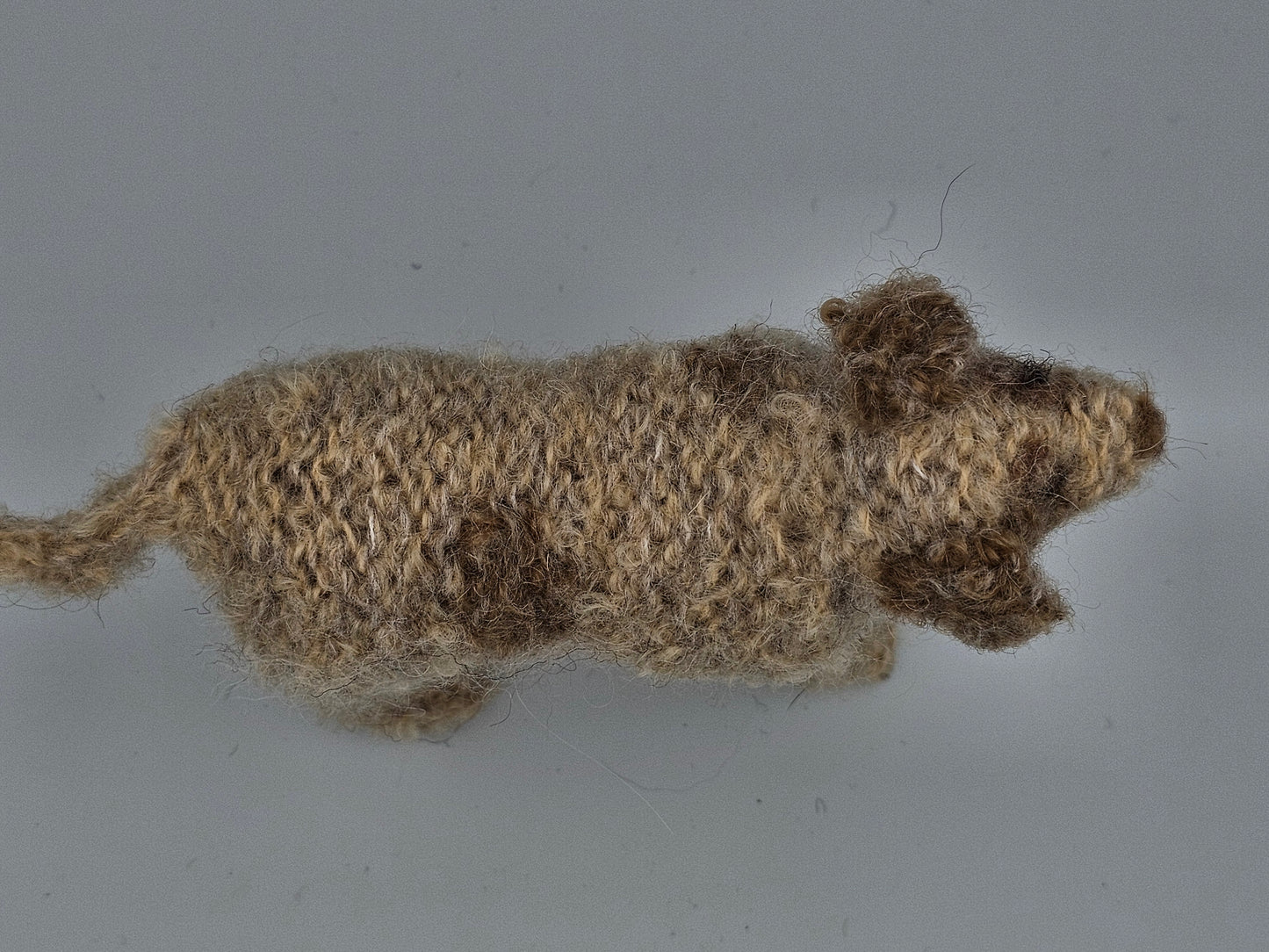 Knitted cream Labradoodle with light brown spots and ears