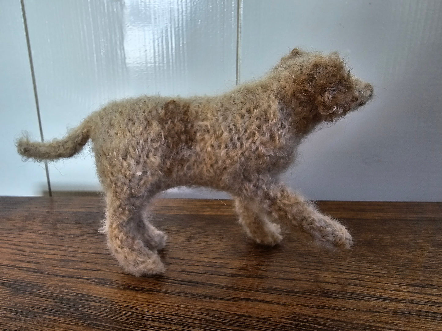 Knitted cream Labradoodle with light brown spots and ears