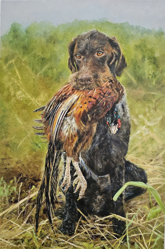 Original painting Duitse Staande Langhaar met fazant/ German Longhaired Pointer with pheasant