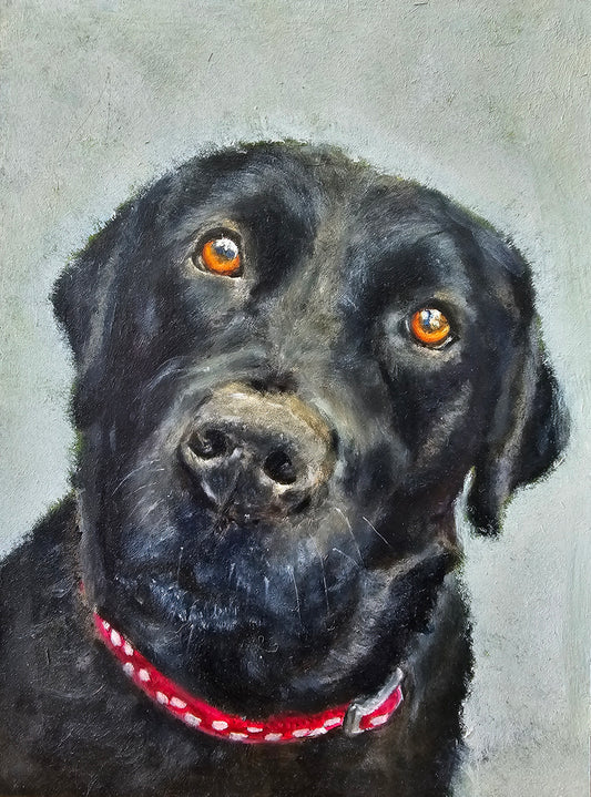 Original painting Black Labrador Saar