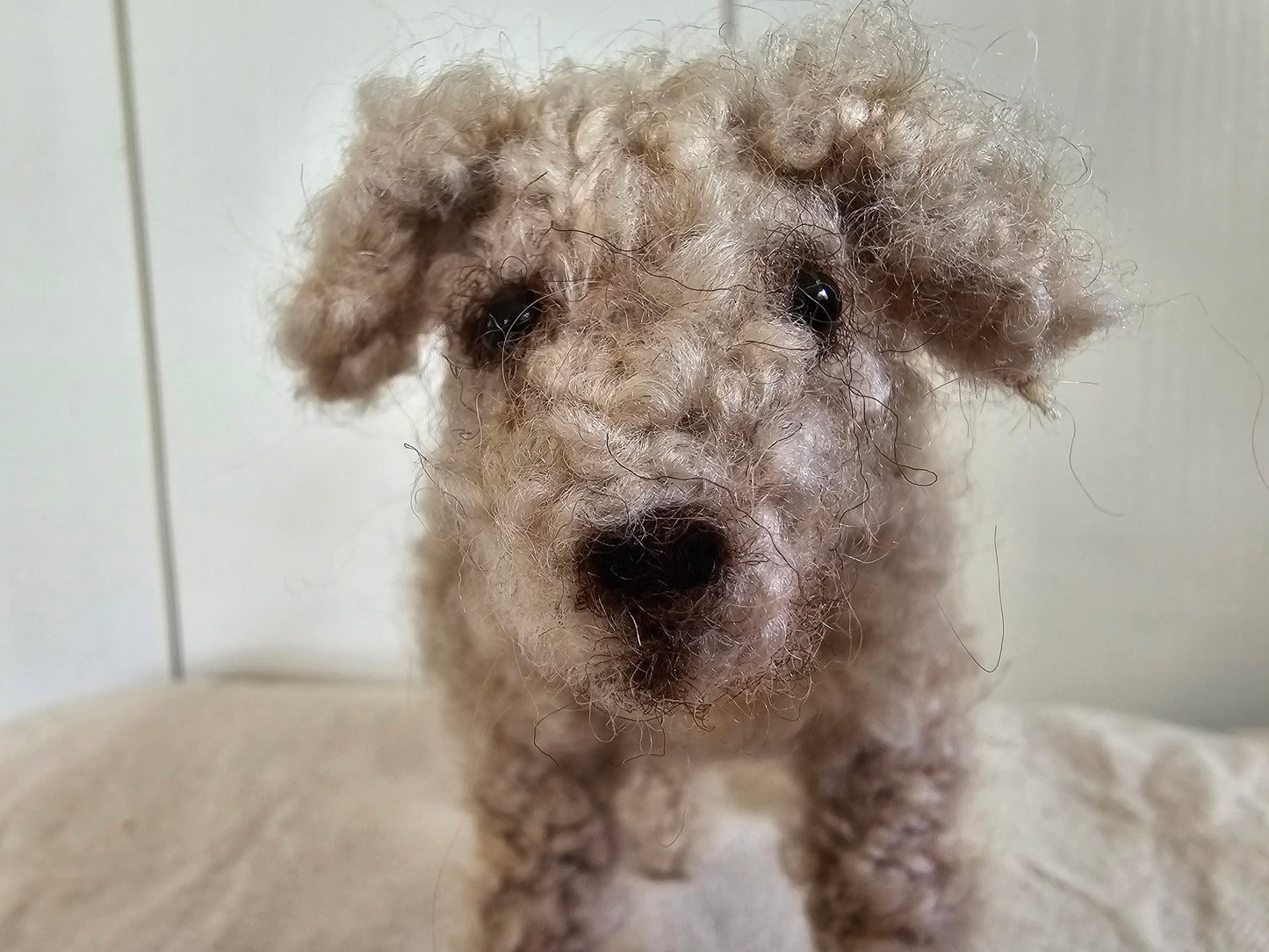 Knitting Pattern Labradoodle Bella Dutch