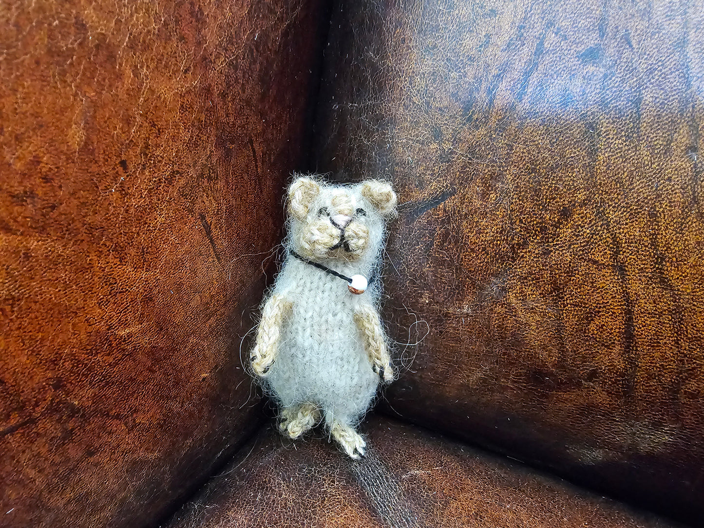 Knitting Pattern Little Kitten Dutch Decorum