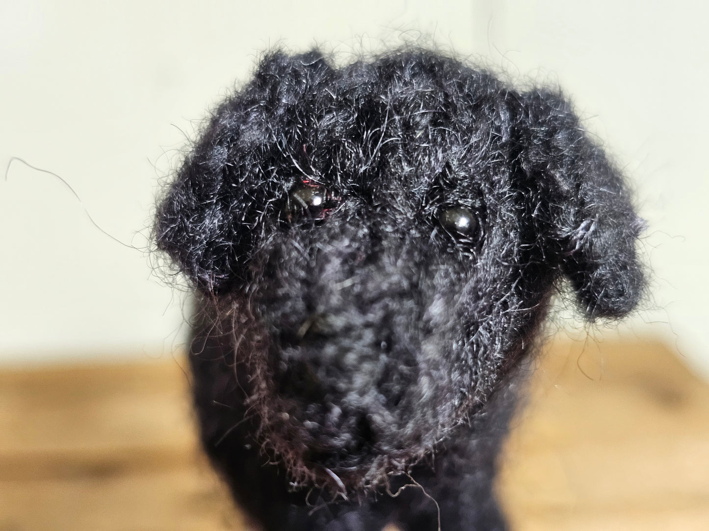 Field Trial Labrador Knitting Pattern Rosie