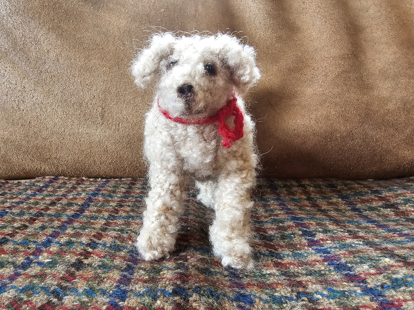 Knitting Pattern Labradoodle Bella