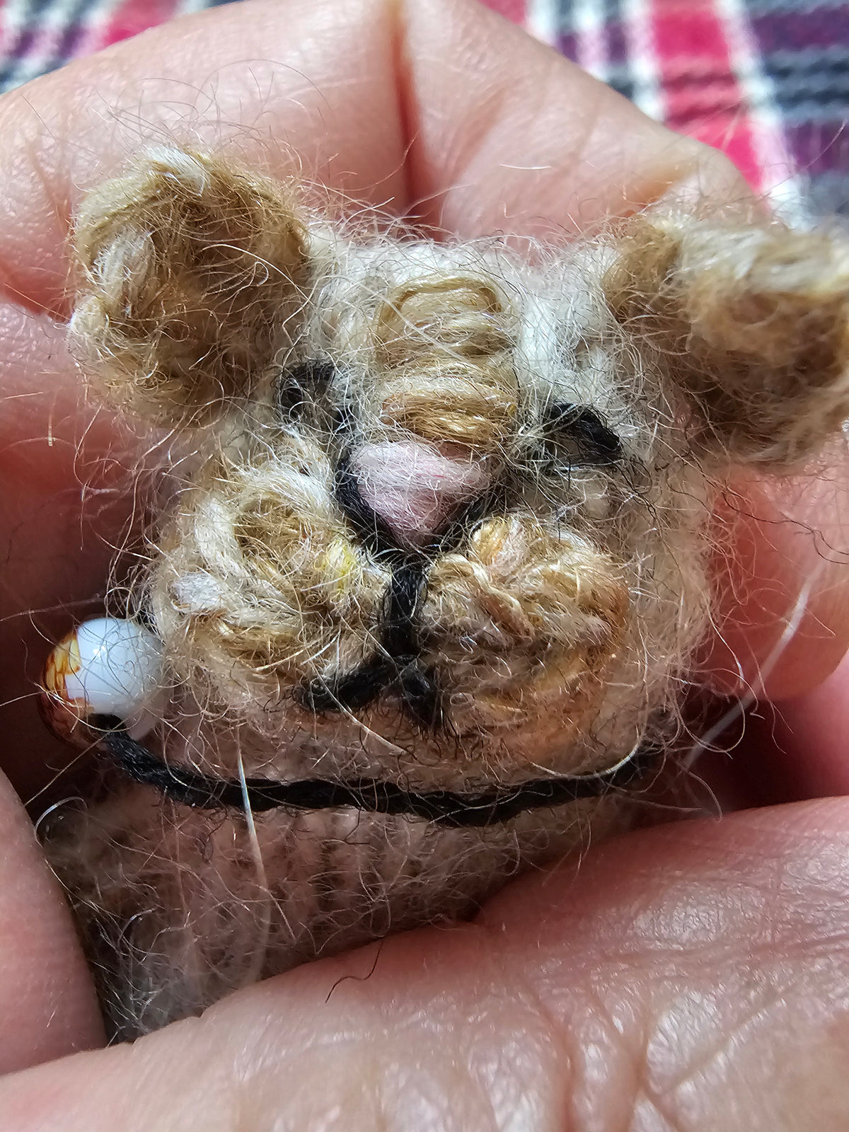 Knitting Pattern Little Kitten Dutch Decorum