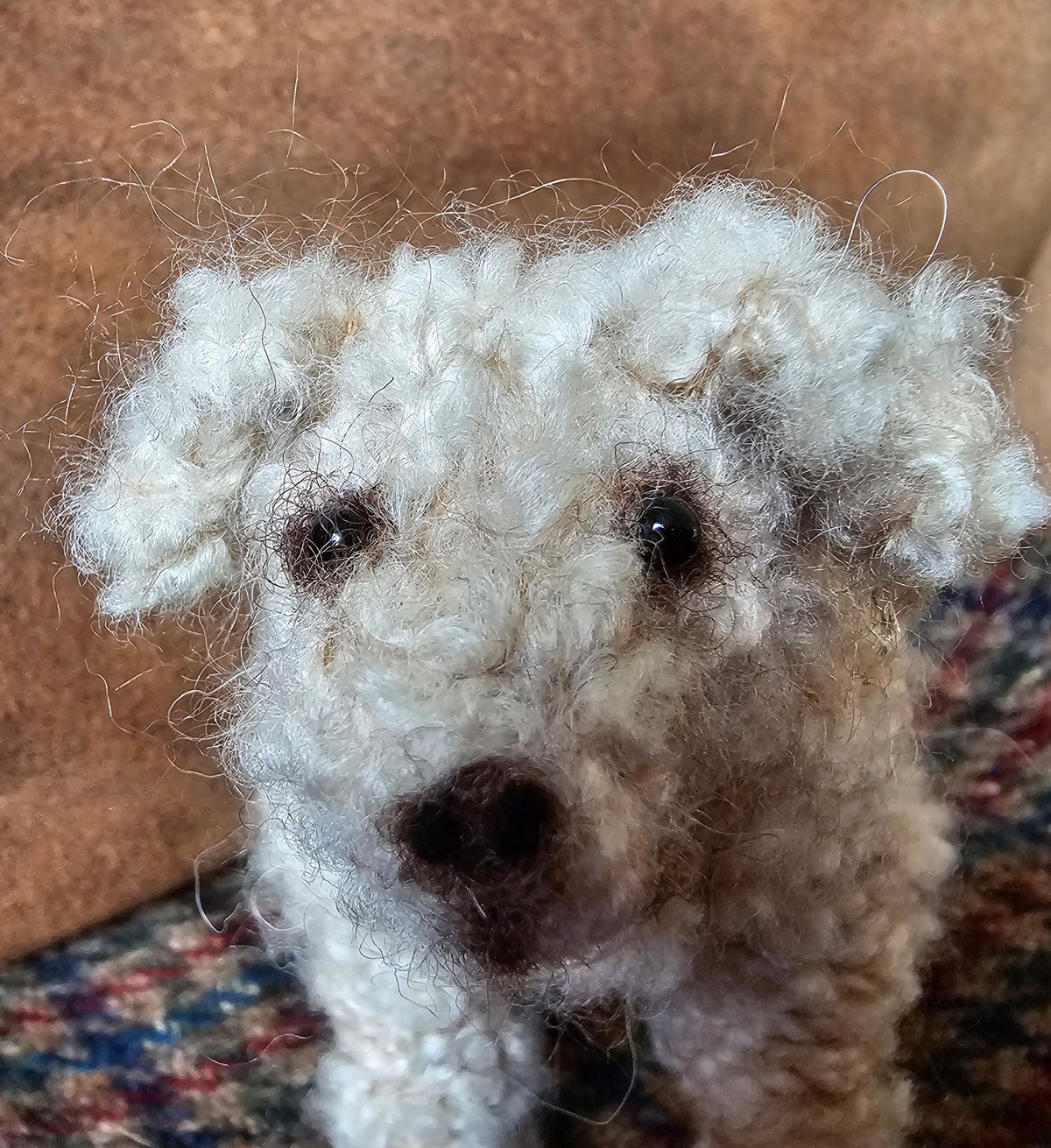 Knitting Pattern Labradoodle Bella