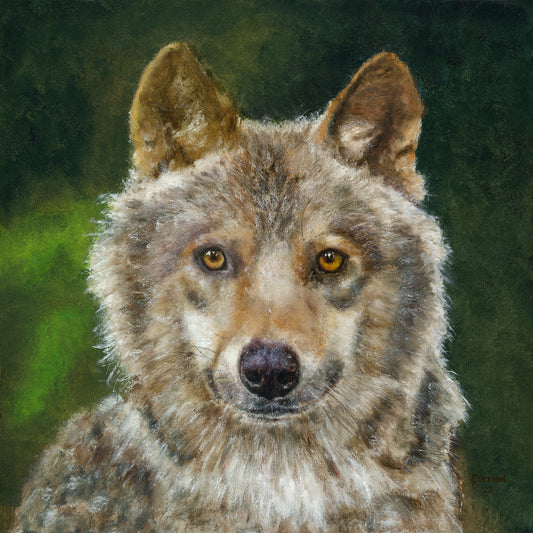 Original painting Wolf