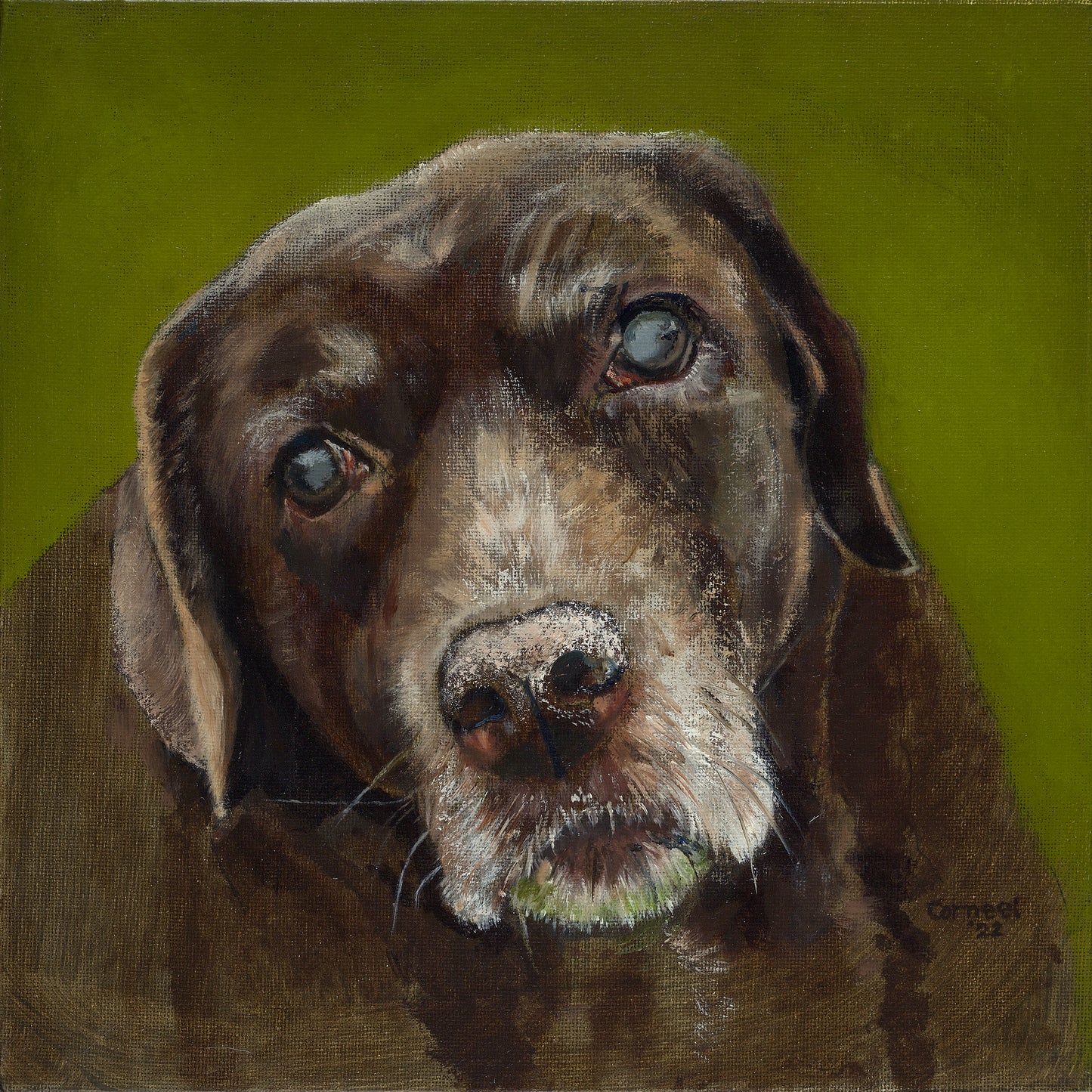 Original Painting Brown Labrador Berber