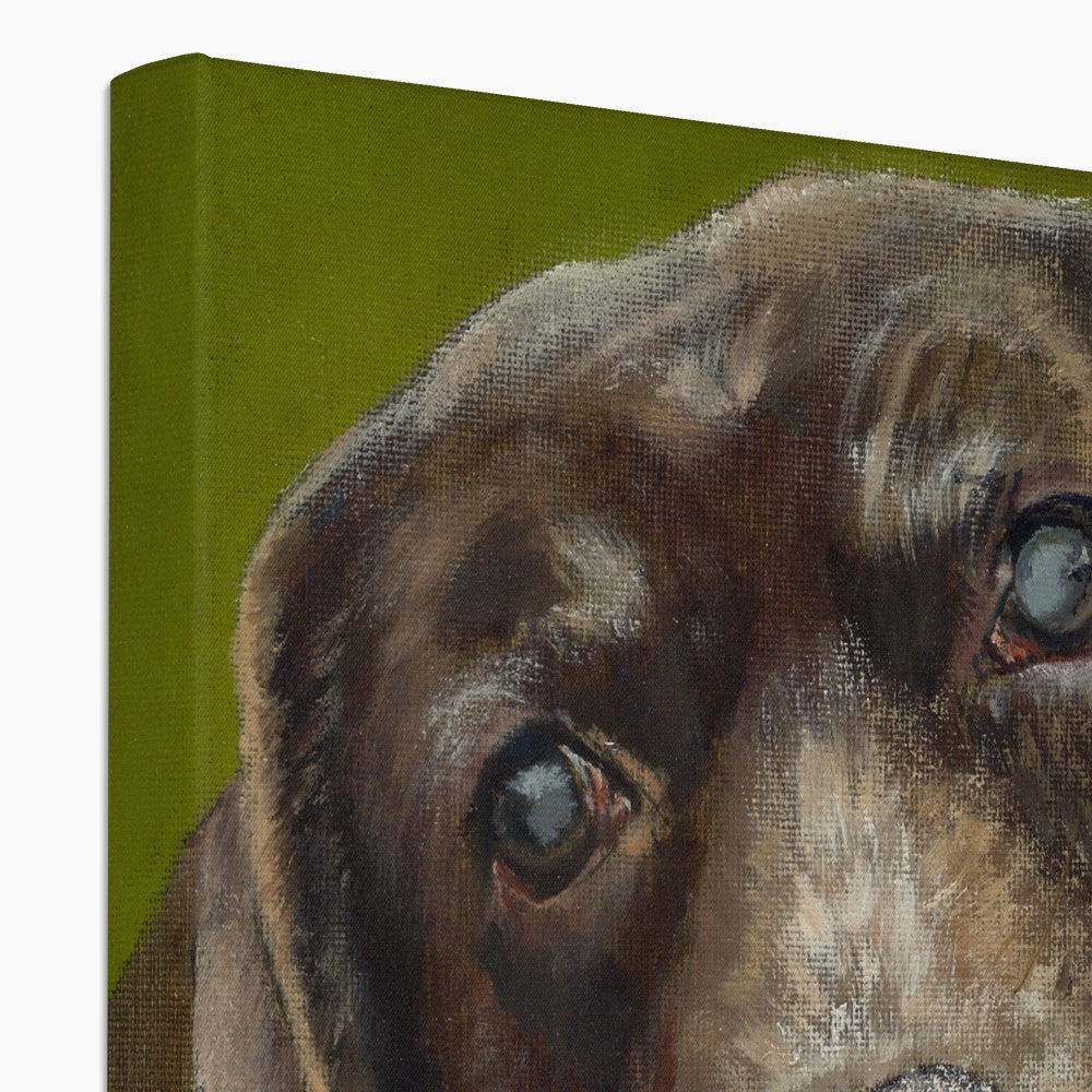 Brown Labrador Retriever Berber Canvas