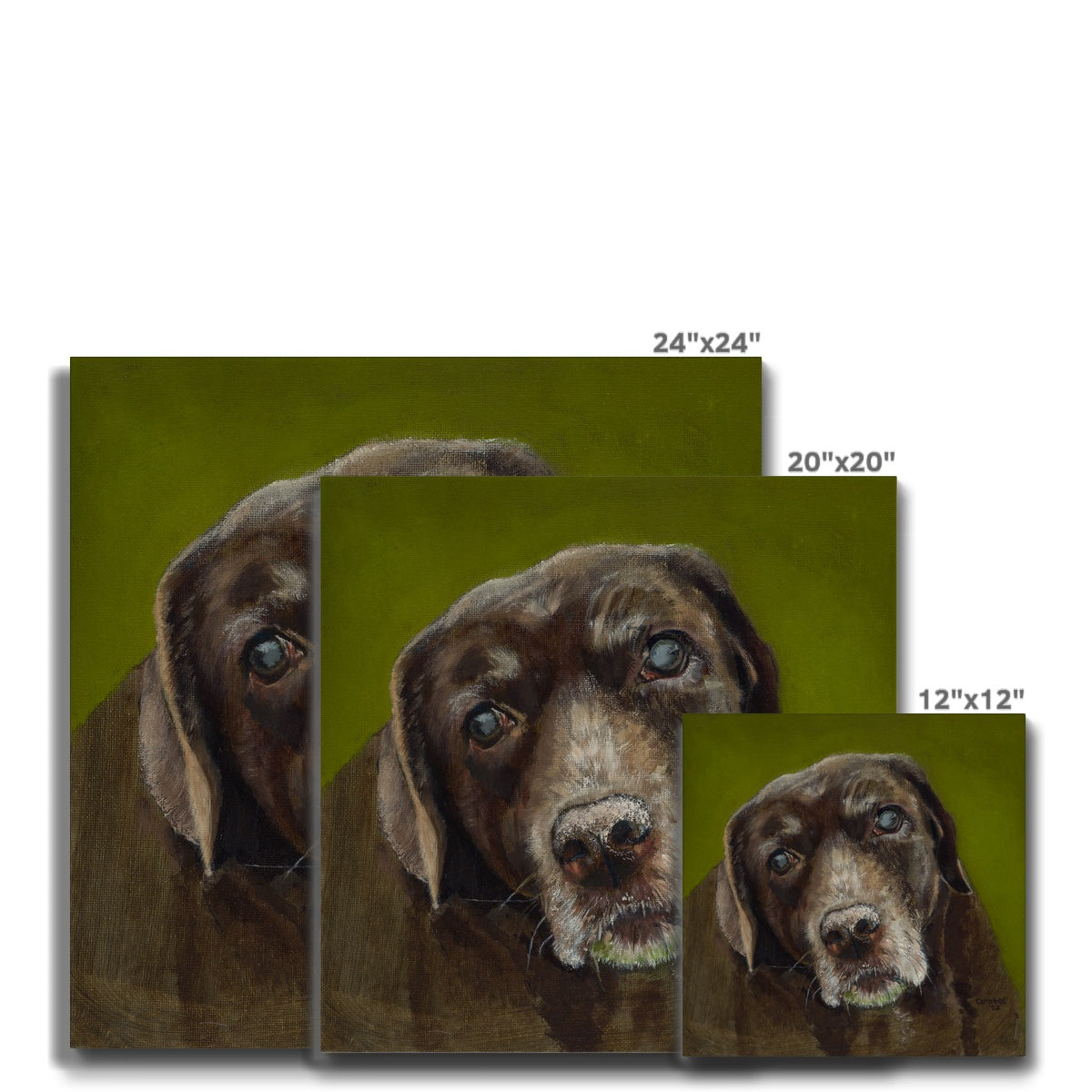 Brown Labrador Retriever Berber Canvas