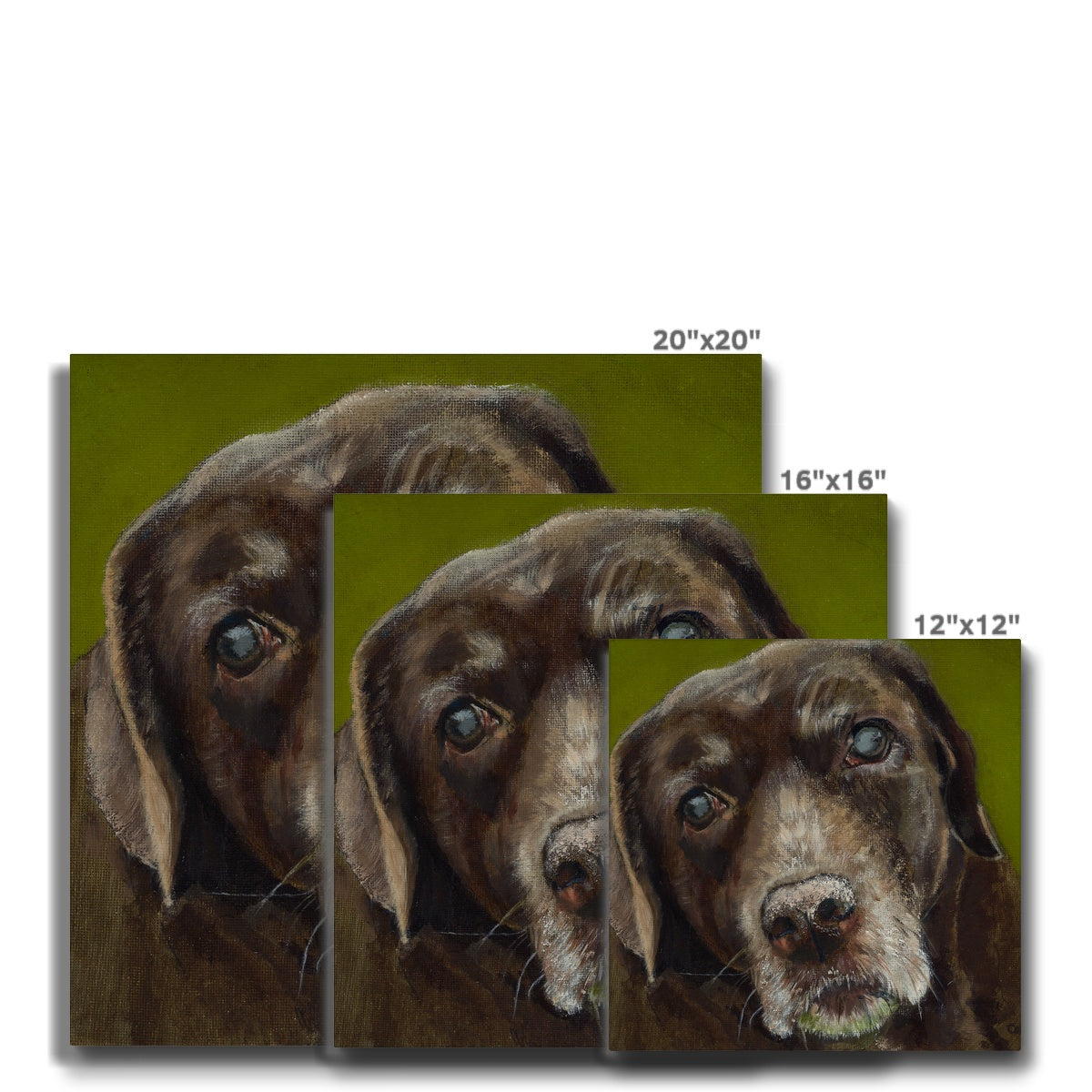 Brown Labrador Retriever Berber Canvas