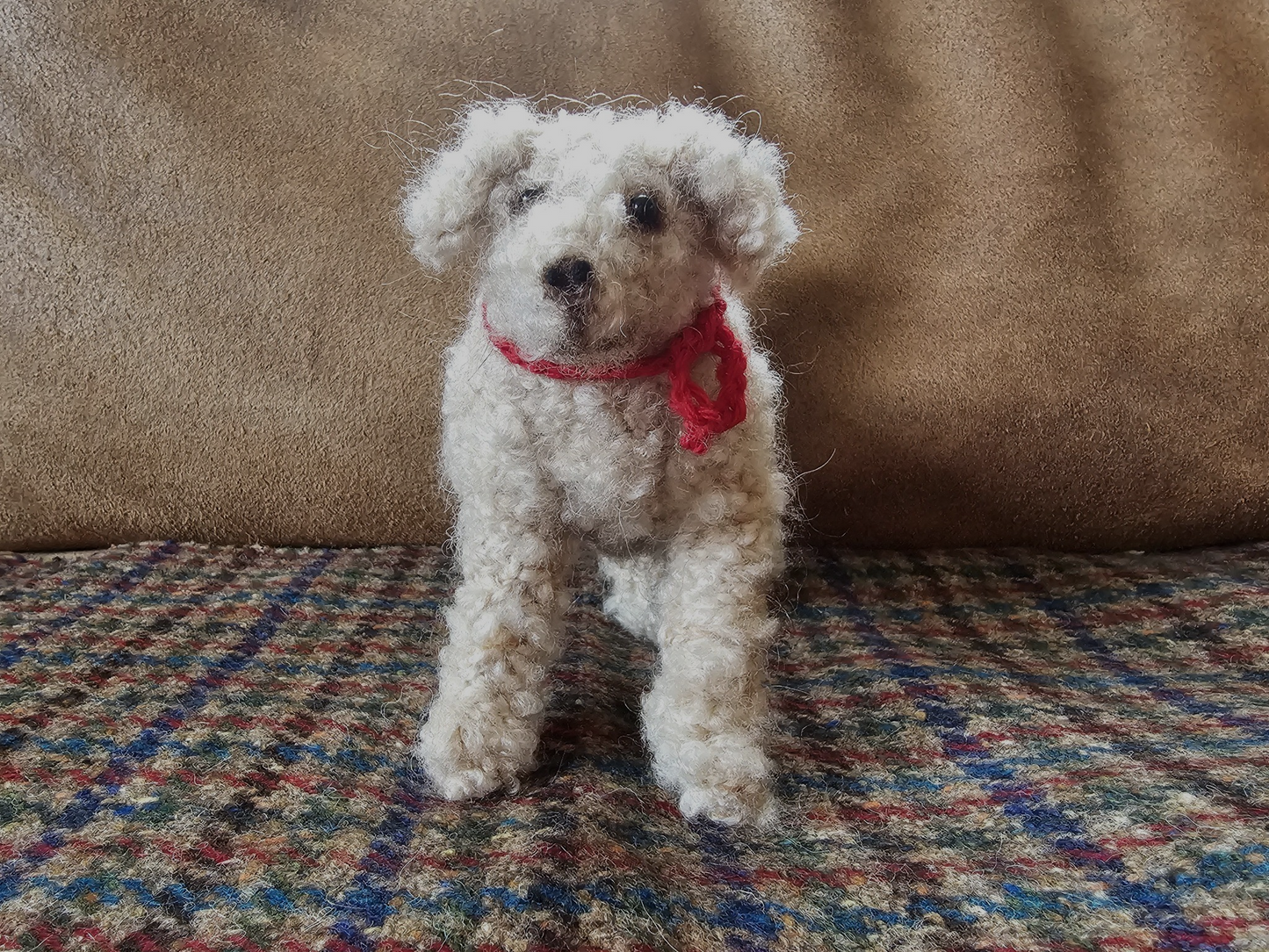 Knitting Pattern Labradoodle Bella