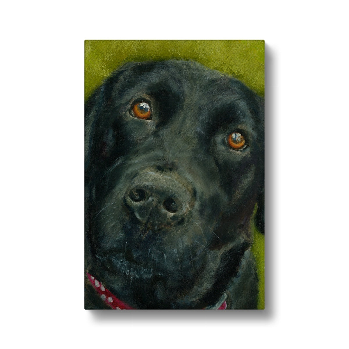 Black Labrador Retriever Saar Canvas