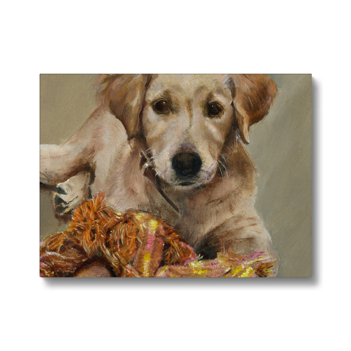 Golden Retriever Evie playing Canvas