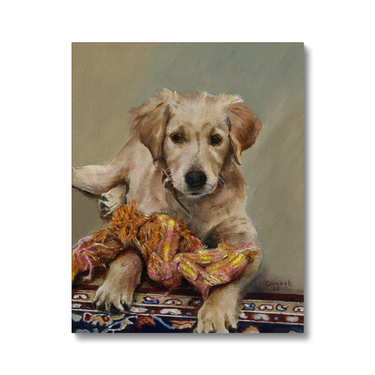 Golden Retriever Evie playing Canvas