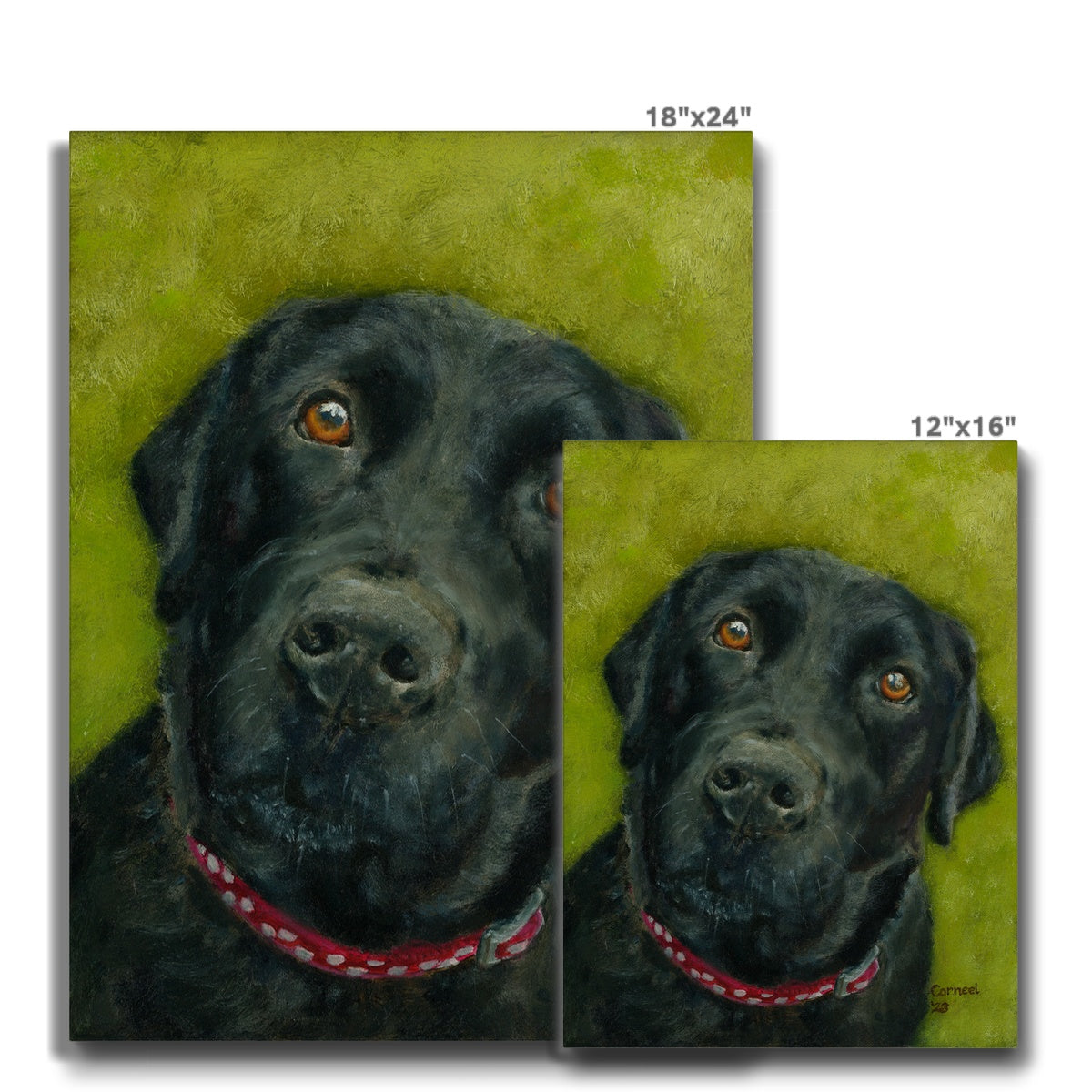 Black Labrador Retriever Saar Canvas