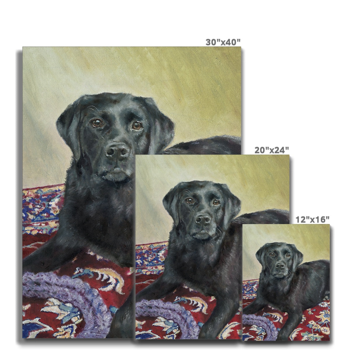 Black Labrador Retriever Rosie playing Canvas