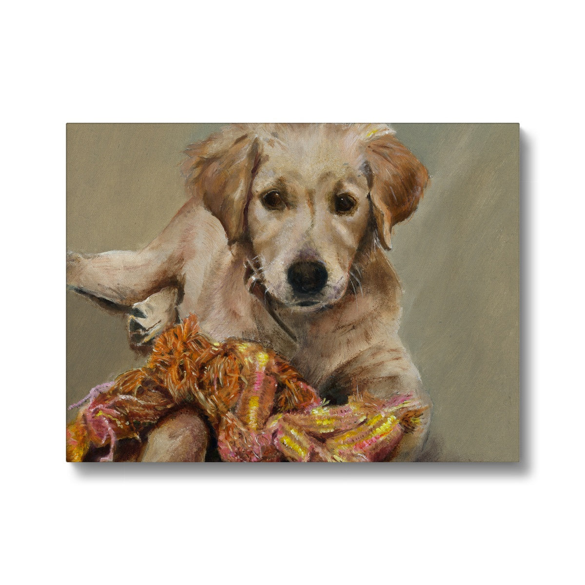 Golden Retriever Evie playing Canvas