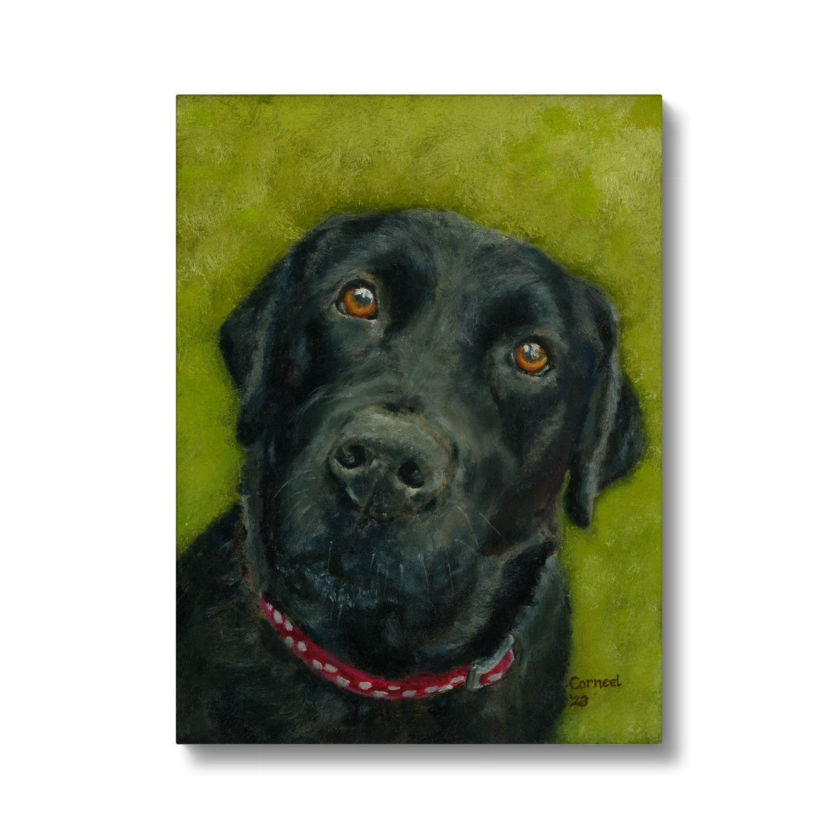 Black Labrador Retriever Saar Canvas