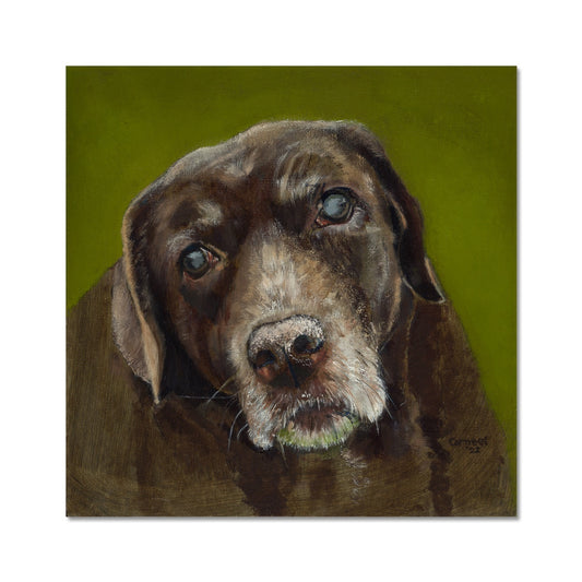 Brown Labrador Retriever Berber Fine Art Print