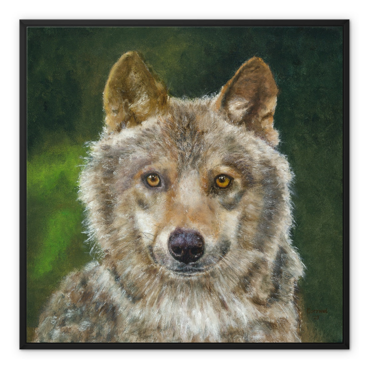 Wolfdog Framed Canvas