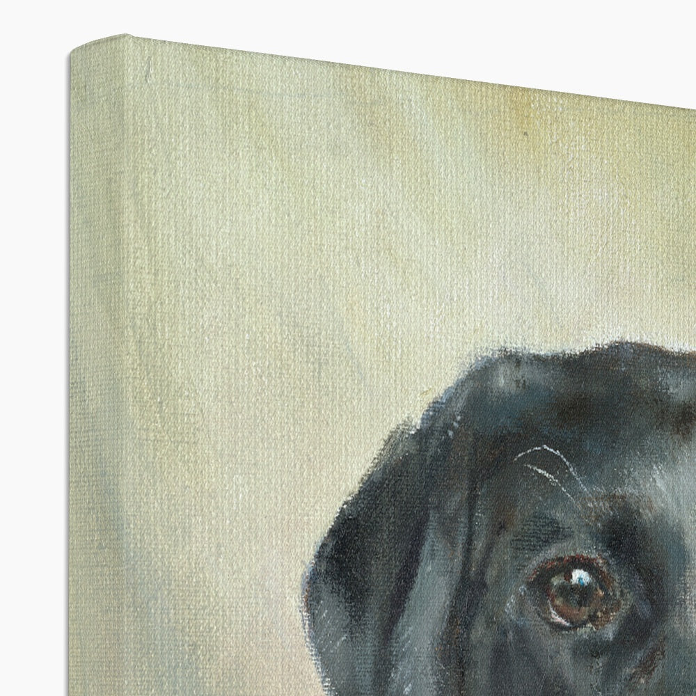 Black Labrador Retriever Rosie playing Canvas