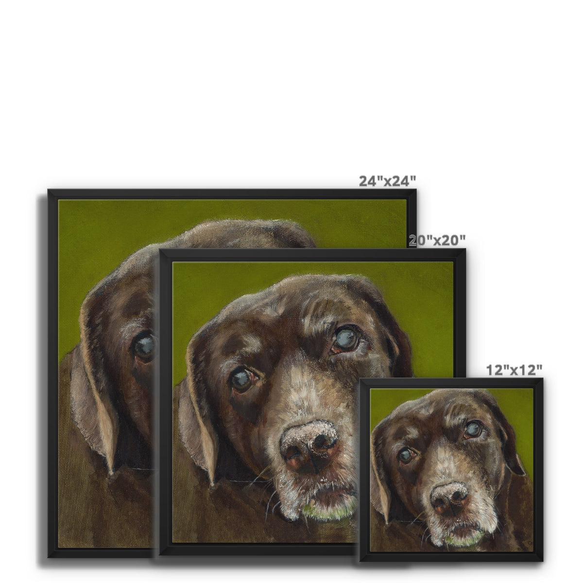 Brown Labrador Retriever Berber Framed Canvas