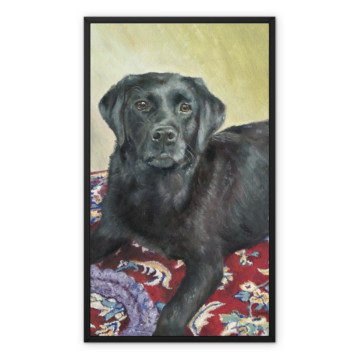 Black Labrador Retriever Rosie playing Framed Canvas