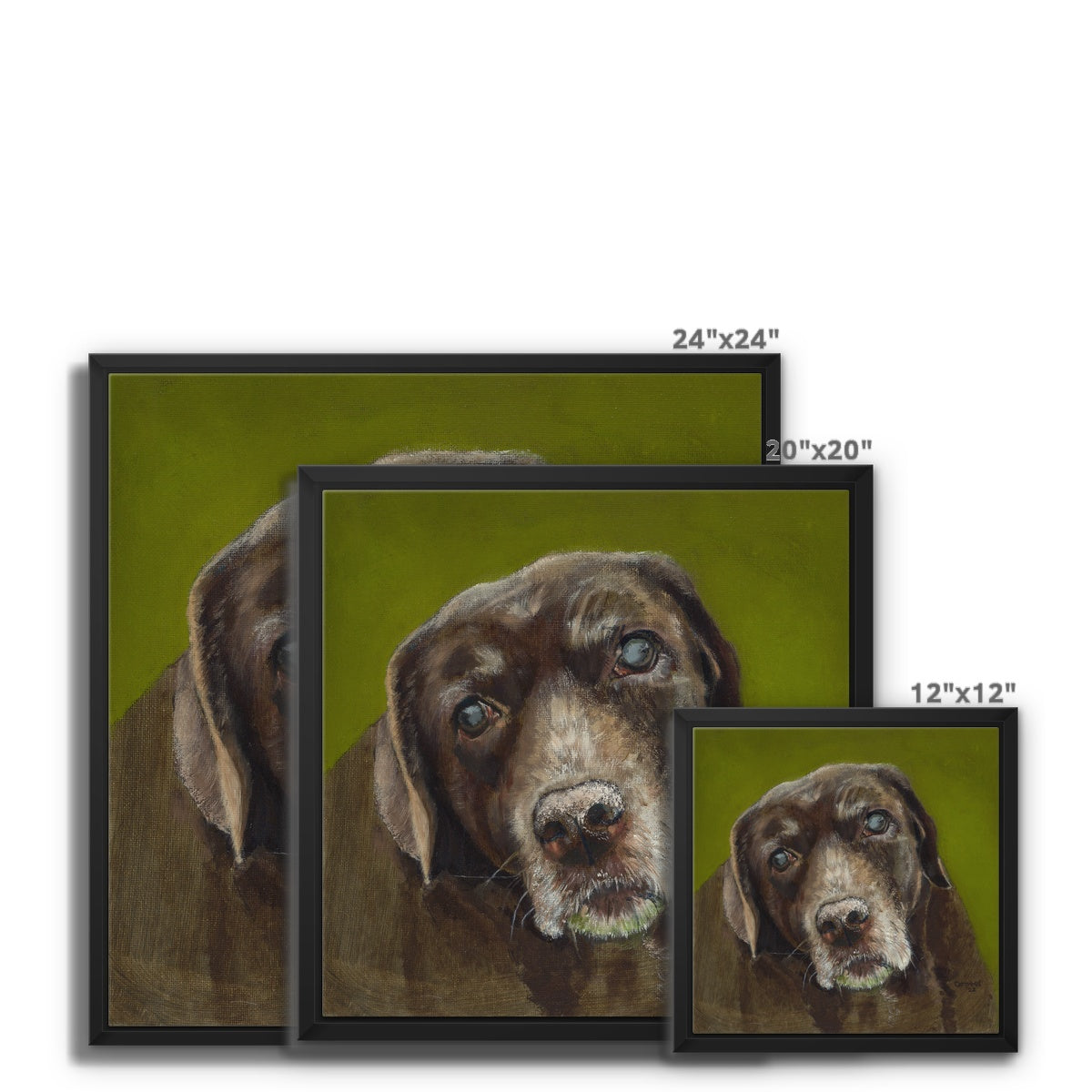 Brown Labrador Retriever Berber Framed Canvas