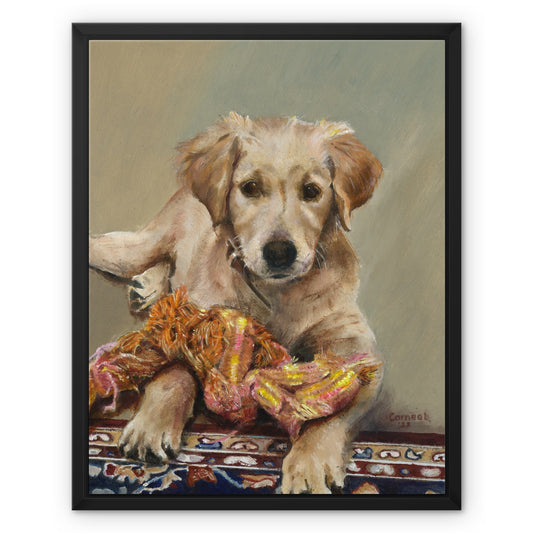 Golden Retriever Evie playing Framed Canvas