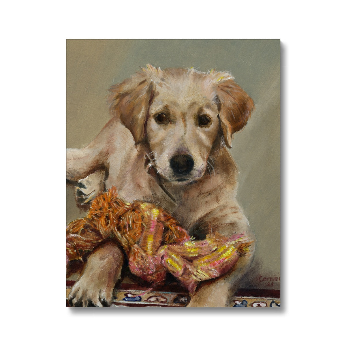 Golden Retriever Evie playing Canvas