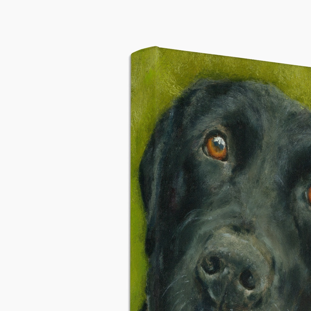 Black Labrador Retriever Saar Canvas