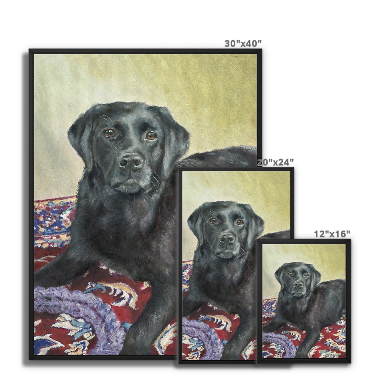 Black Labrador Retriever Rosie playing Framed Canvas