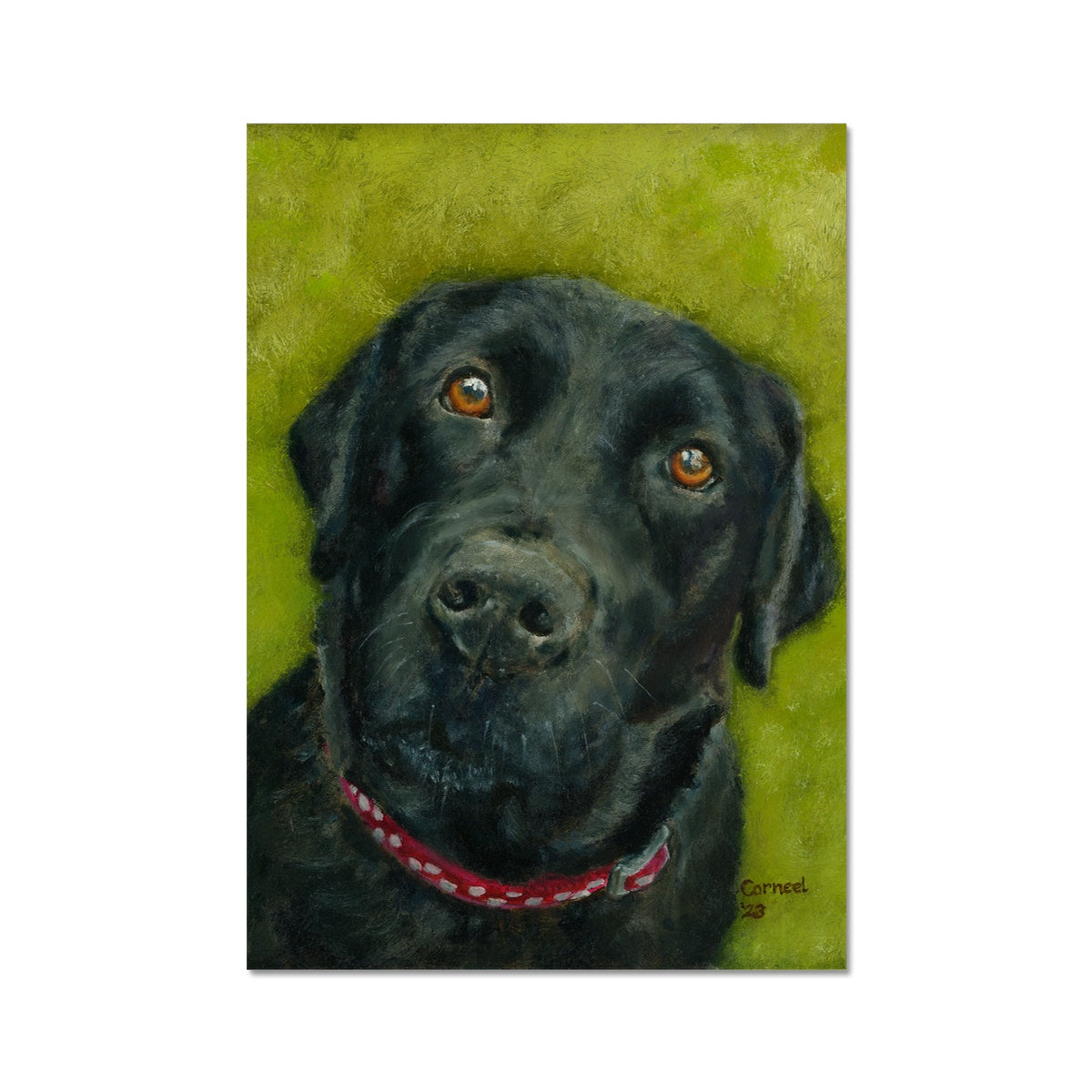 Black Labrador Retriever Saar Fine Art Print