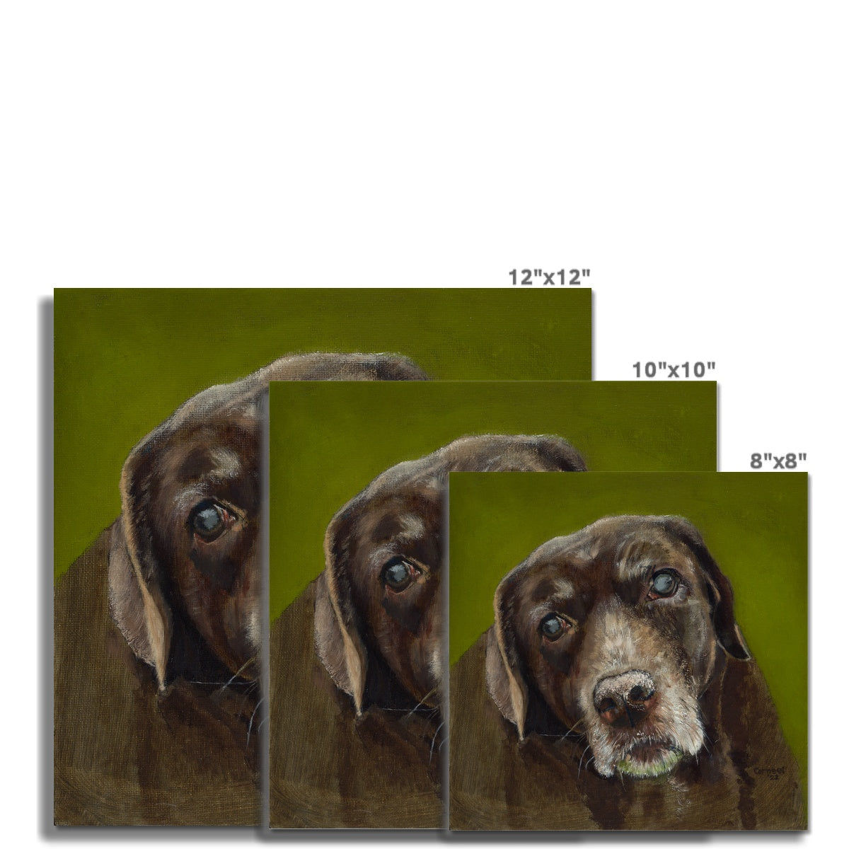 Brown Labrador Retriever Berber Fine Art Print