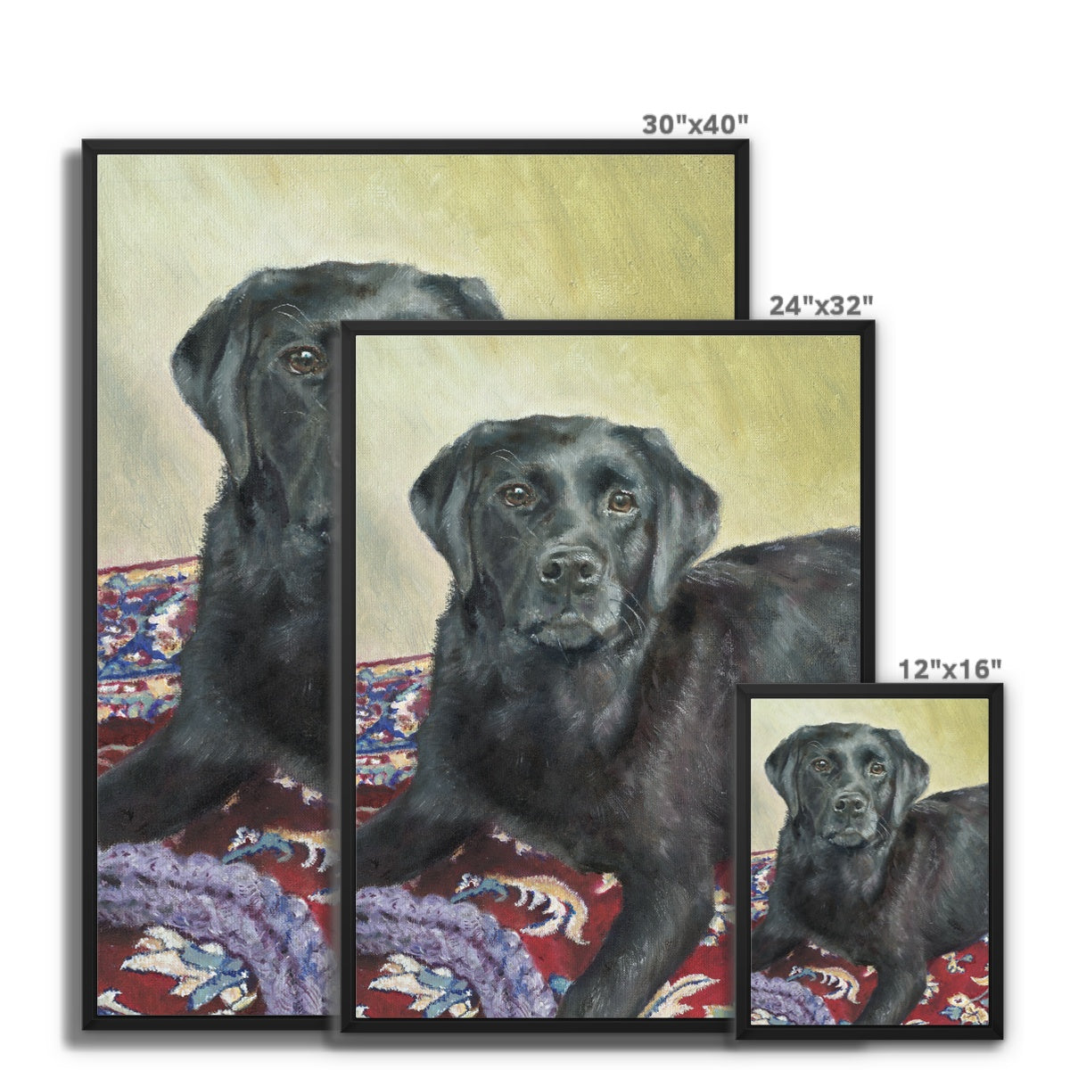 Black Labrador Retriever Rosie playing Framed Canvas