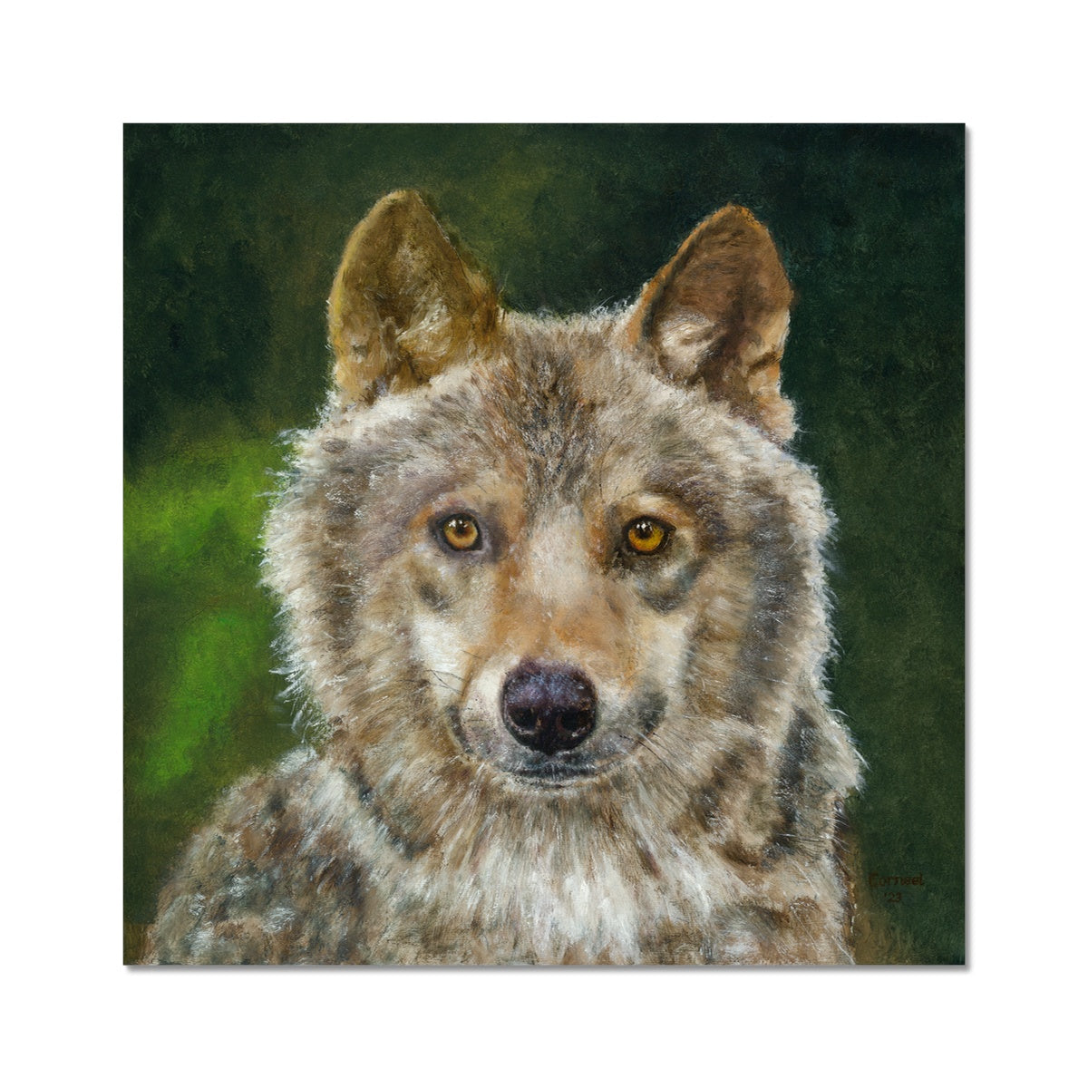 Wolfdog Fine Art Print