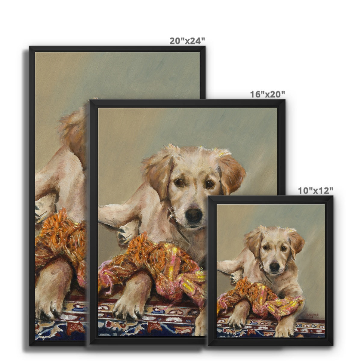 Golden Retriever Evie playing Framed Canvas