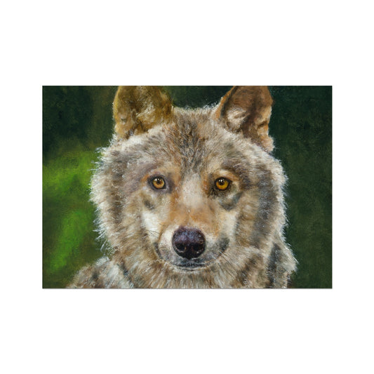 Wolfdog Fine Art Print