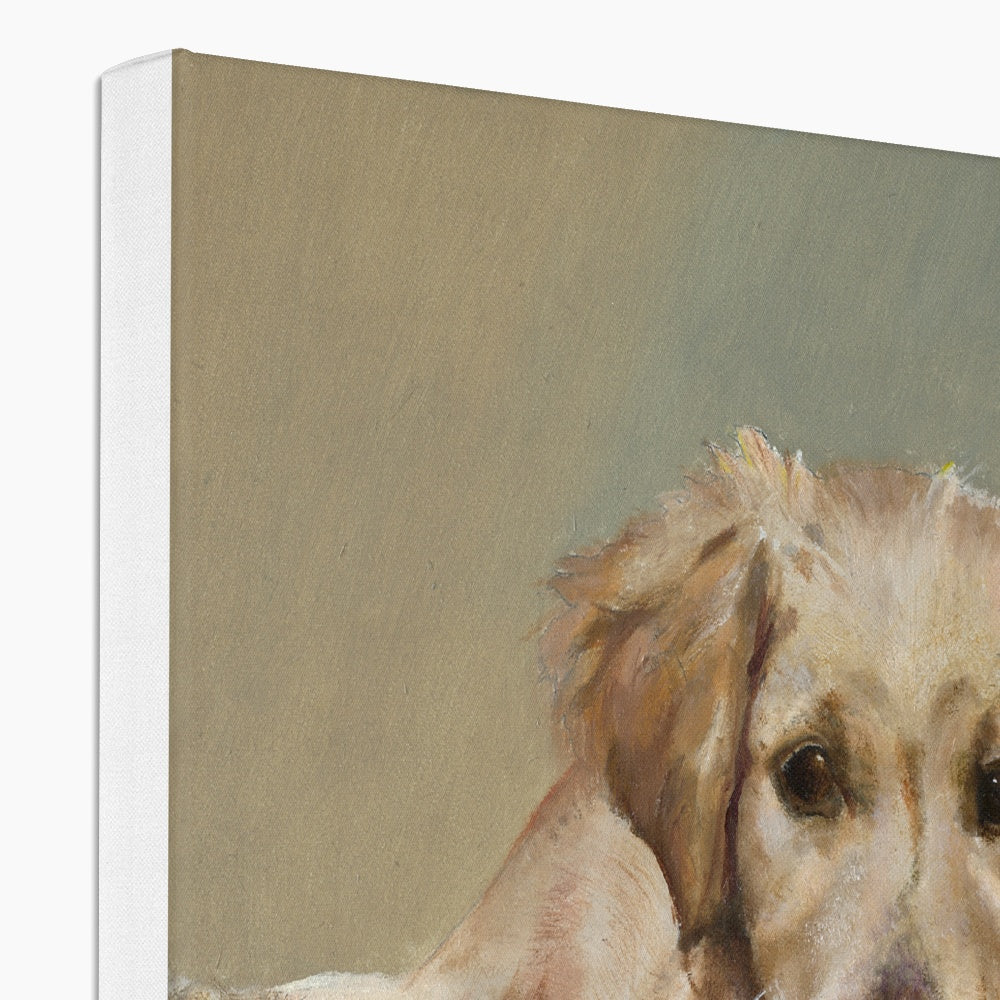 Golden Retriever Evie playing Canvas