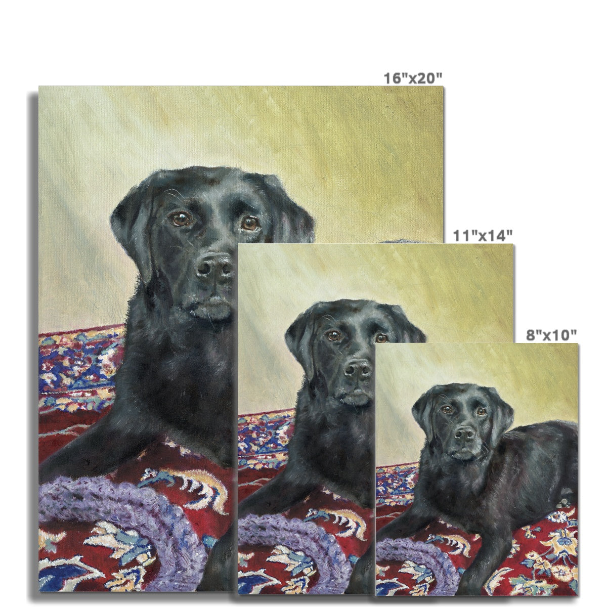 Black Labrador Retriever Rosie playing Fine Art Print