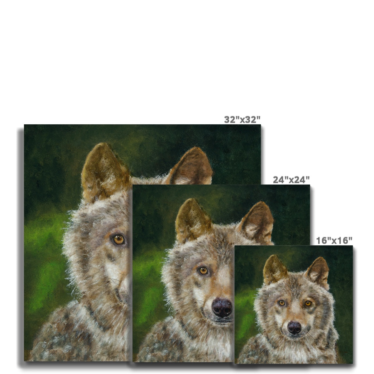 Wolfdog Canvas