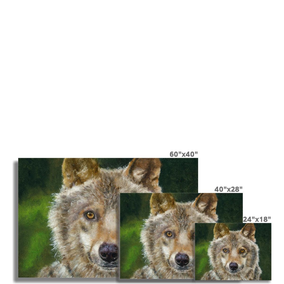 Wolfdog Fine Art Print